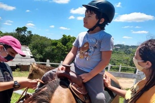 Psicoterapia à Cavalo